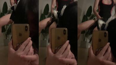 【极品反差婊】超高颜值狂吃大屌，骑马摇曳，表情享受，实在是太骚了，让人羡慕呀！2